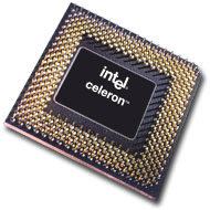 Celeron